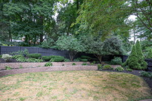 Copy of C2F1B6DB-2A76-4AC4-9A80-D3A70C62AD47_4_5005_c