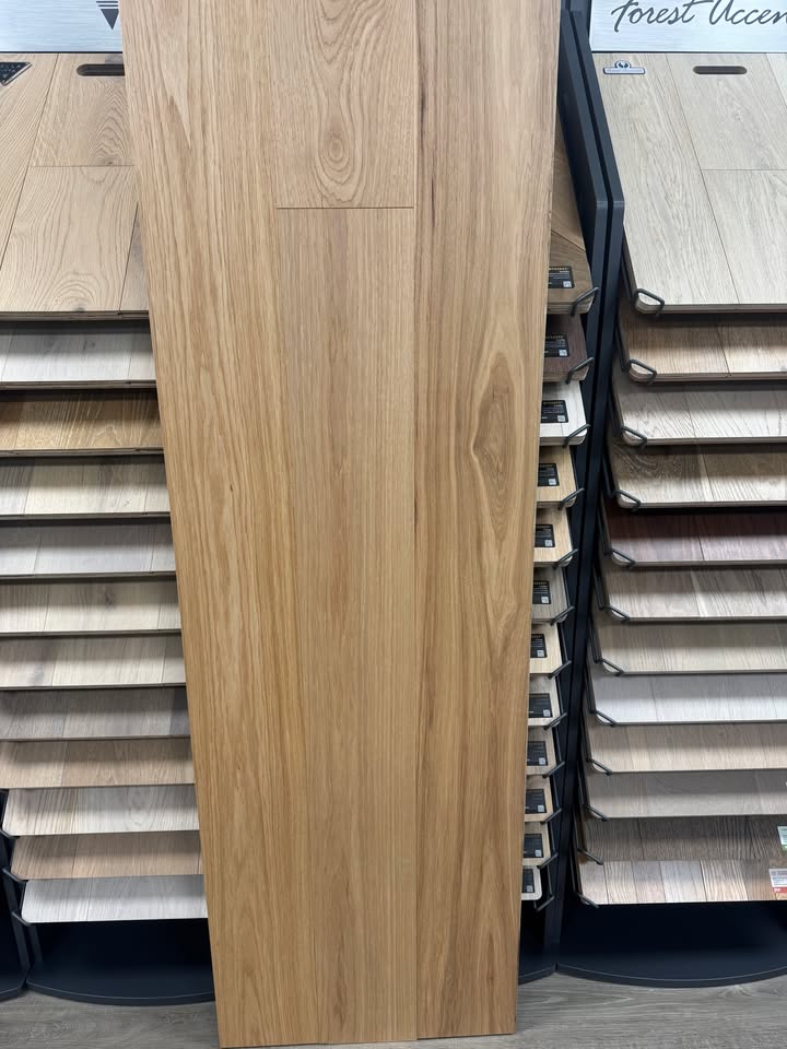 628522974_1448702326930600_5696526872337059230_n