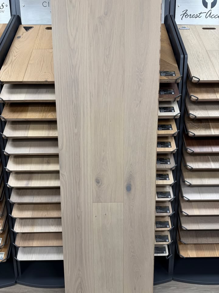 638437827_1255622203171671_2329662276169552922_n