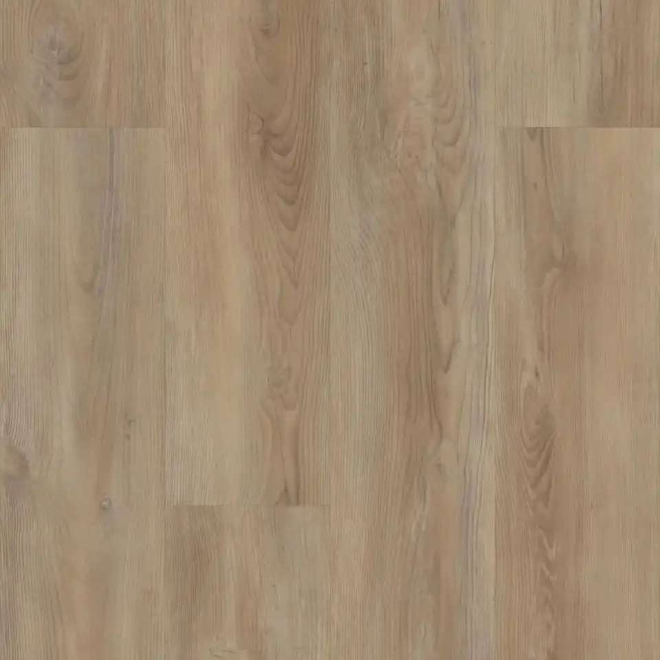 Coretec Premium Plus Luxury Vinyl 1