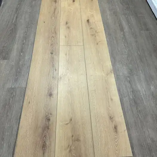 651695030_1188752479798055_4344087352328028666_n