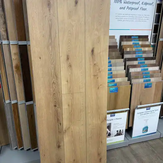 651752902_908911581946810_6386432448989899903_n