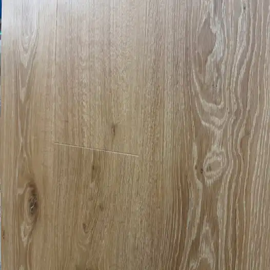 666026496_1325150339553755_8637051832688163492_n